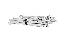 Aspergekwekerij Clauwers logo