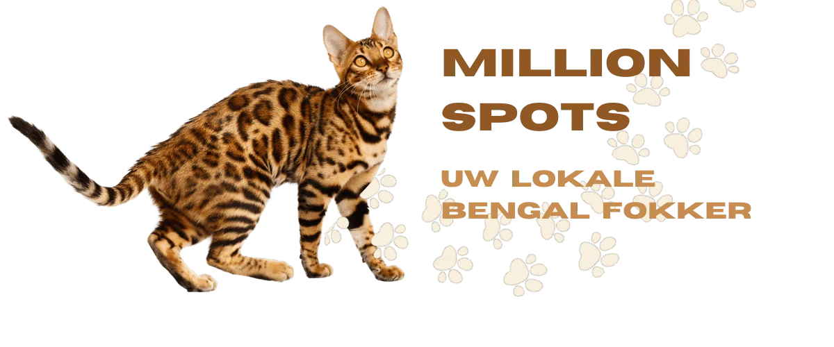 Million-spots